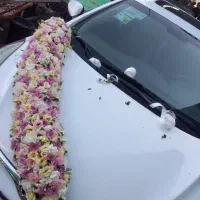 گل طبیعی ، ماشین عروس|گل و گیاه طبیعی|پاکدشت, خاتون آباد|دیوار