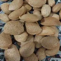 بادام تازه