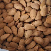 بادام رقم دوازده(نیمه کاغذی)
