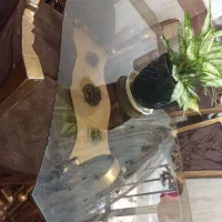 میز غذا خوری ۶ نفره|میز و صندلی غذاخوری|بهار, |دیوار