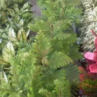 چشم اندازی زیبا|گل مصنوعی|خرمآباد, |دیوار