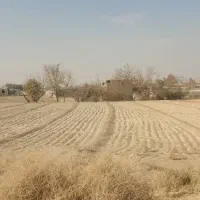 فروش زمین|فروش دفتر صنعتی، کشاورزی، تجاری|ابریشم, |دیوار