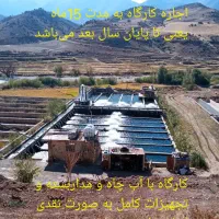 فروش یا اجاره کارگاه پرورش ماهی