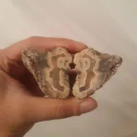 ۲۰ عدد توپی|جواهرات|محلات, |دیوار