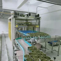 خط تولید کنسرو لوبیا