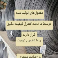 نیروی ساده آقا وفنی برقکار وحسابدار خانم