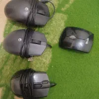 ۴ عدد موس سالم