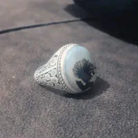 انگشتر شجرهای کلکسیونی و اشیای عتیقه|کلکسیون اشیاء عتیقه|قوچان, |دیوار