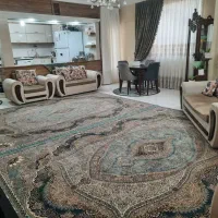 100-متر-شخصی-ساز-در-قلب-دکتر-حسابی