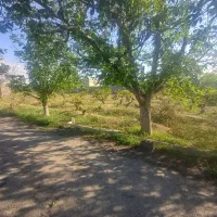 فروش-استثنایی-زمین-و-باغ