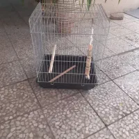 قفس پرنده
