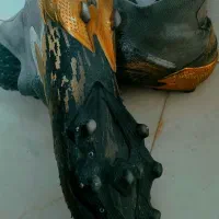 کفش فوتبال