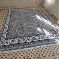 دو جفت قالی|فرش|سیرجان, |دیوار