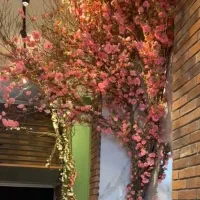 اجراو نصب تخصصی درخت شکوفه|گل مصنوعی|کیش, |دیوار