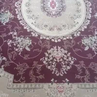 قالی|فرش|تربت جام, جامرود|دیوار