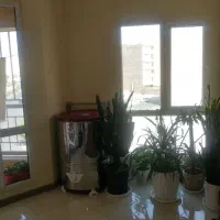 اپارتمان 80متر بر اصلی کنگرانی ویو ازاد 2 خواب|اجارهٔ آپارتمان|فردیس, شهرک سپاه|دیوار