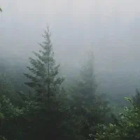 همسفر از آمل به تهران