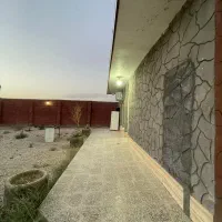 پانسیون اسب