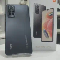 Note 12 pro