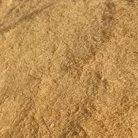 کاه گندم دیم