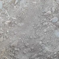 کاه گاودانه