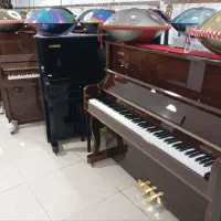 فروش انواع مدلهای پیانو /تکـی *وعمـده*|پیانو، کیبورد، آکاردئون|شیراز, امام حسین|دیوار