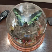 وسایل تزئینی.هم به صورت یکجا.هم تکی