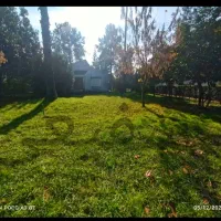 زمین-چسبیده-به-جنگل-باسندتکبرگ-ومجوزساخت