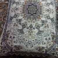 12تاروبالشتی