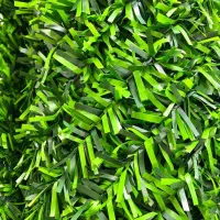 گرین وال فنسی. چمنی و برگی