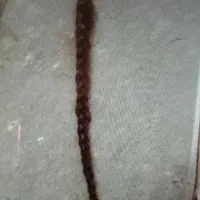 مو خرمایی طبیعی