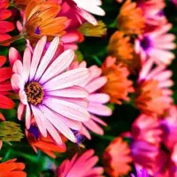 رهن-آپارتمان-70-متری-در-سعدی