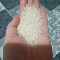 ۵۰کیلو برنج هاشمی