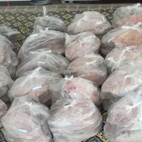 ماهی قزل آلا