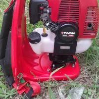 علف زن تی وان