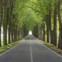 زمین-باغشهری