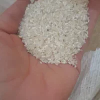 لاشه فجرسوزنی