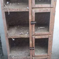 گنجه جفت کن کبوتر