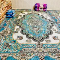 فروش فرش ۱۲۰۰ تراکم ۳۶۰۰|فرش|بمپور, |دیوار