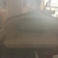 مبلمان کلاسیک|مبلمان خانگی و میز عسلی|آبعلی, |دیوار