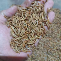 کرم میل ورم|لوازم جانبی حیوانات|شیراز, وصال|دیوار