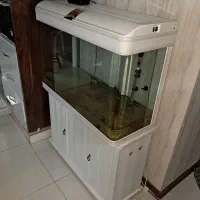 آکواریوم|ماهی|فردیس, نسترن غربی|دیوار