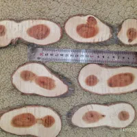 چوب برش کالباسی سرو اشکال متنوع