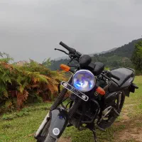 پالس دایچی ۲۰۰ مدل ۹۱