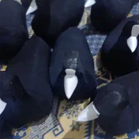 ساخت چیده|مجسمه، تندیس، ماکت|زابل, |دیوار