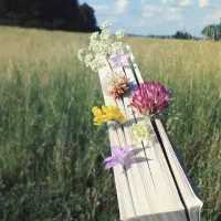 زمین کشاورزی با آب فصلی