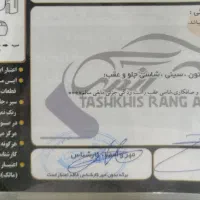 سایناs مدل 1403|خودرو سواری و وانت|شیراز, شهدای شهرک سعدی|دیوار