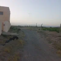 فروش زمین کشاورزی|فروش دفتر صنعتی، کشاورزی، تجاری|بناب, |دیوار