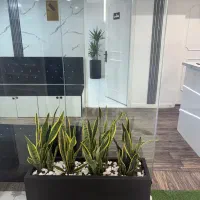 نسخه پیچ پرسنل داروخانه