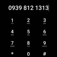 1313 812 0939